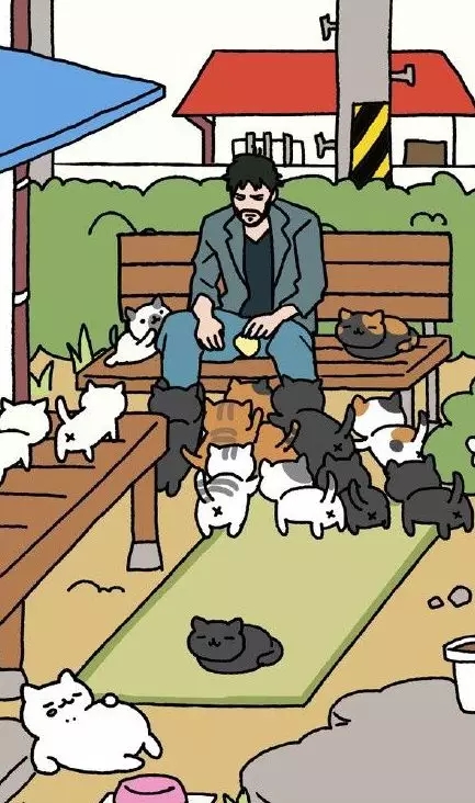 收集猫猫