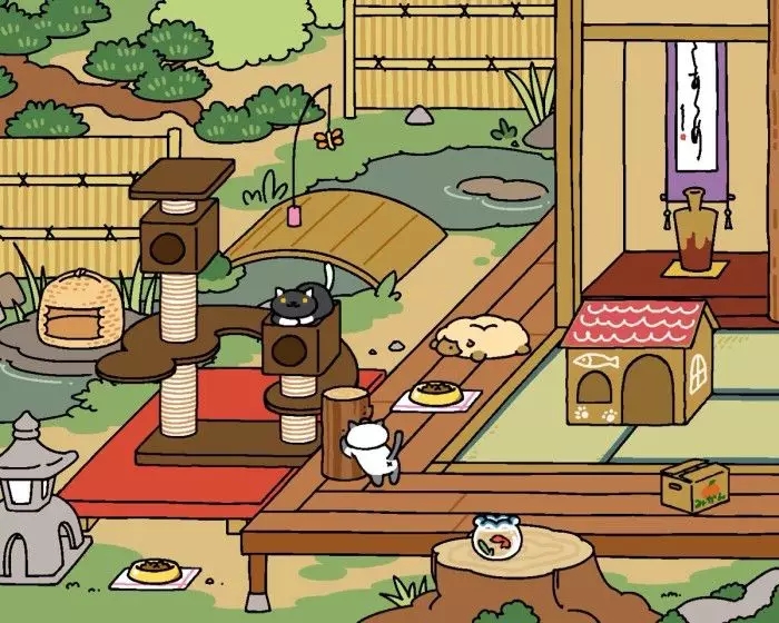 猫咪后院