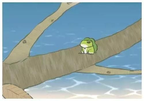 旅行的青蛙