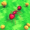 蚂蚁的生活2023