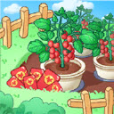 来种小番茄天降红包