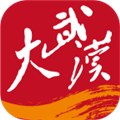 大武汉官方app