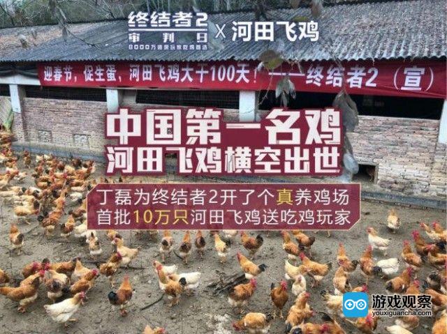 世界名鸡河田飞鸡为《终结者2》撑起护航伞 中国“吃鸡行业”是否已进入网易时代