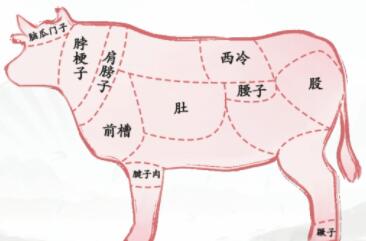 汉字找茬王看图辨位牛肉找出全部对应的位置攻略