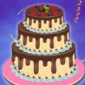 生日巧克力蛋糕工厂