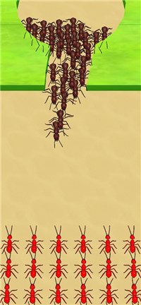 指挥蚂蚁