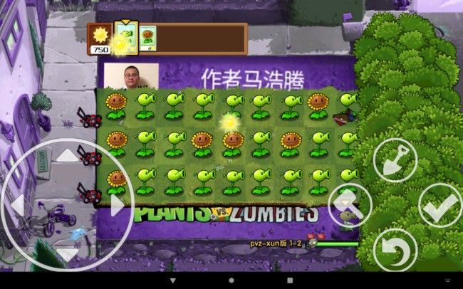 植物大战僵尸逊版截图3