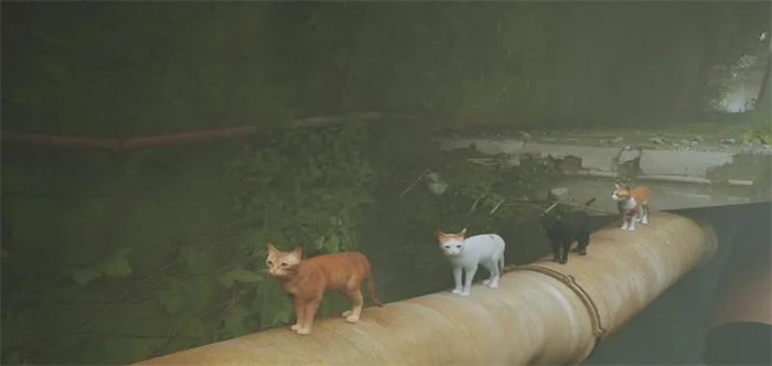 流浪猫模拟游戏