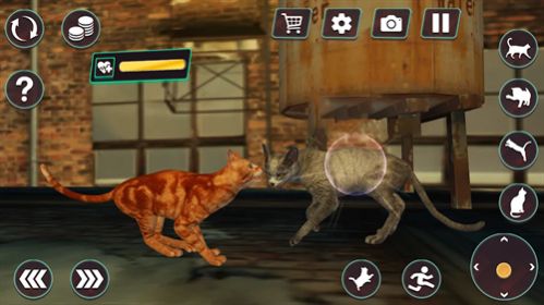 猫咪格斗战争模拟器截图3
