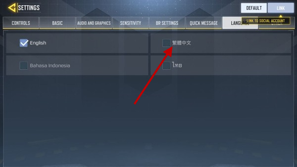 使命召唤国际服