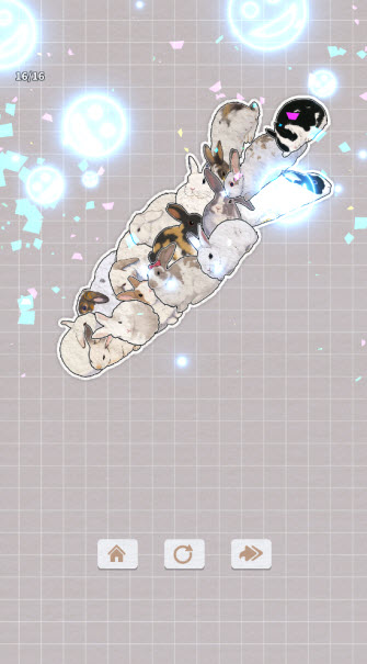 挤在一起的兔兔