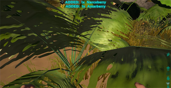 方舟生存进化官方正版