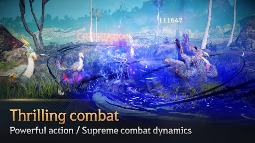 黑色沙漠国际服截图5