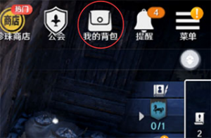 黑色沙漠国际服