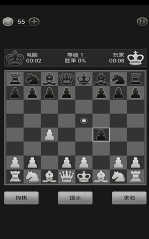 国际象棋